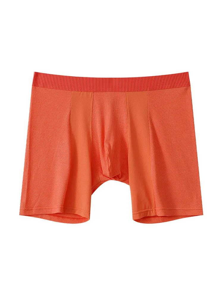 2 Pack Men's Anti-friction Sports Long Nylon Mesh Briefs