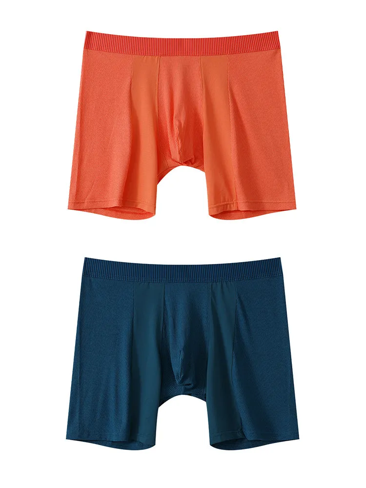 2 Pack Men's Anti-friction Sports Long Nylon Mesh Briefs