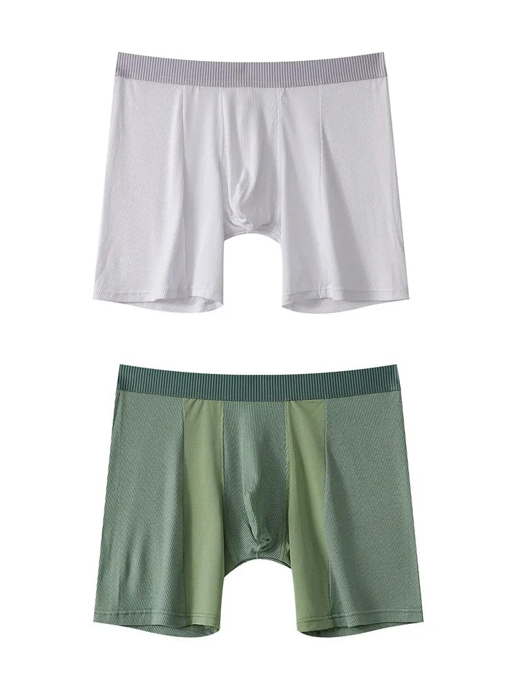 2 Pack Men's Anti-friction Sports Long Nylon Mesh Briefs