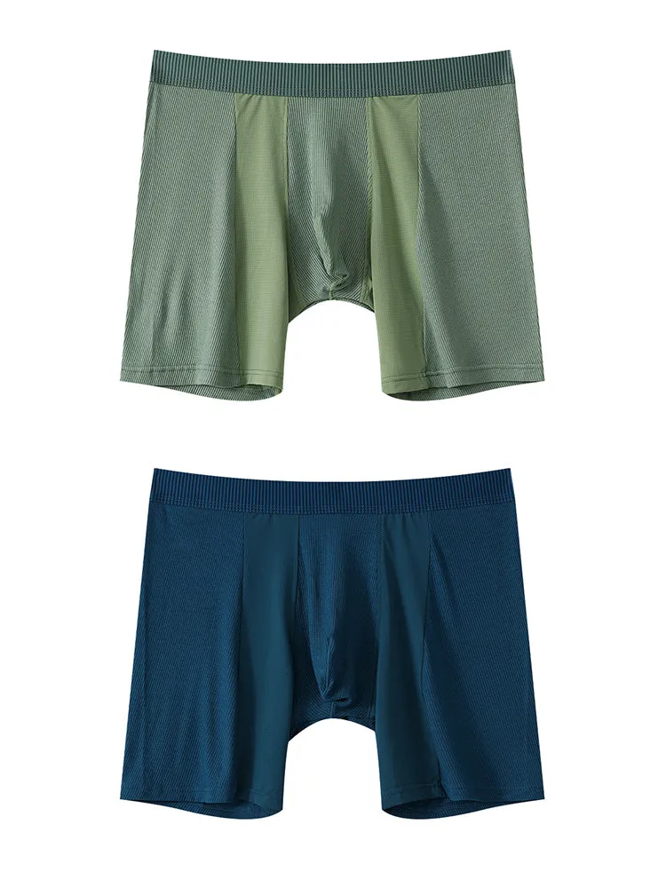 2 Pack Men's Anti-friction Sports Long Nylon Mesh Briefs