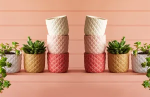 Jones & Co Sea Shell Planter